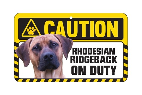 Dog sign caution - dog,