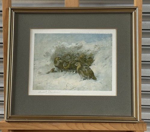 Antique archibald thorburn - archibald,