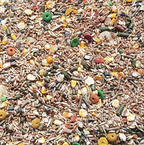 Rabbit food rodents - rodents, 500g