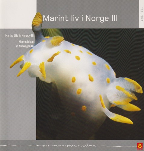 Sea slug polycera - sea,