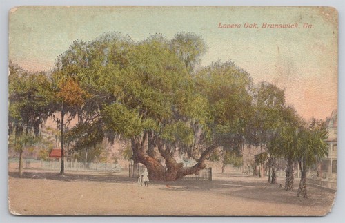 Lovers oak deformed - oak, trunk