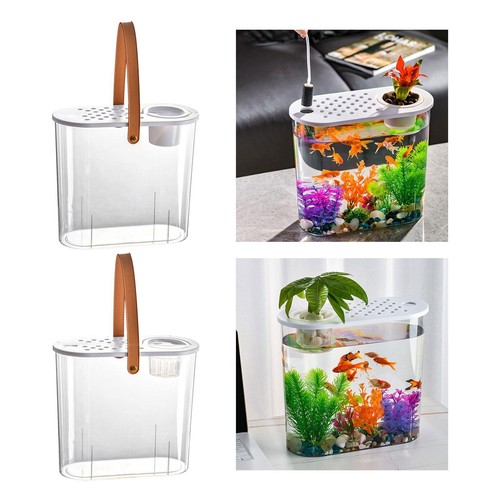 Betta tank small desktop - betta,