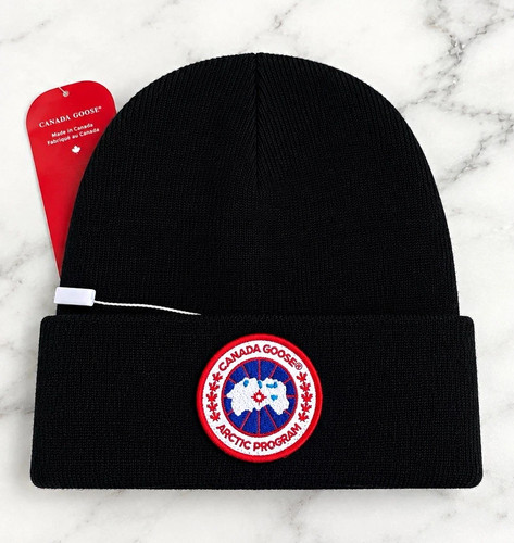 Canada goose black - canada,