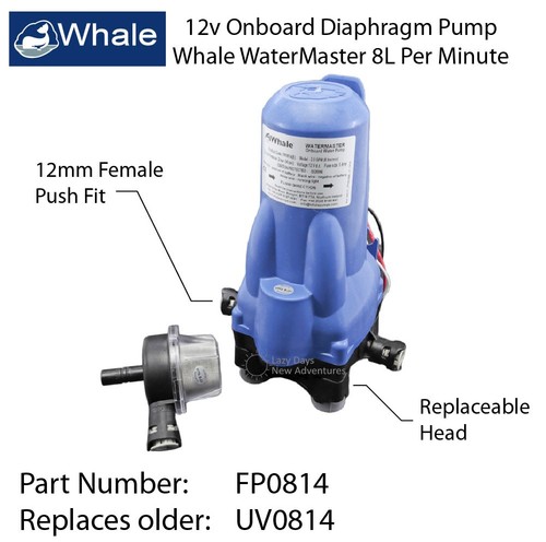 Whale uv0814 fp0814 - whale,