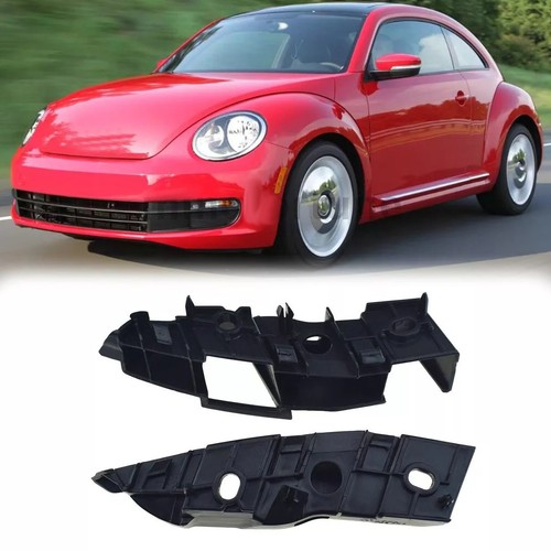 Pair for beetle - beetle, 2012-2019