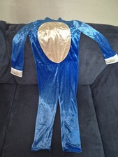 Sonic The Hedgehog Costume |