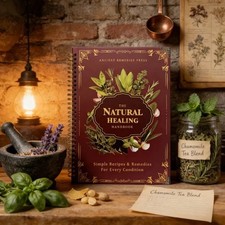 The Natural Healing Handbook