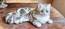 Jenny Winstanley Tabby Cat Size 6 with Cathedral Glass Eyes Excellent Condition