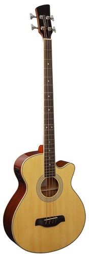 Brunswick acoustic bass - brunswick,