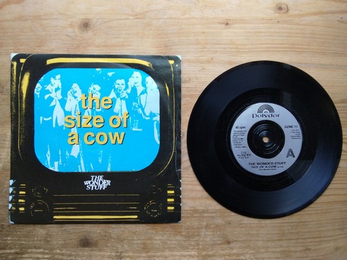The wonder stuff size - the, of
