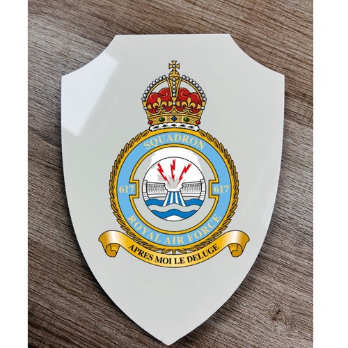 Dambusters 617 squadron badge - squadron,