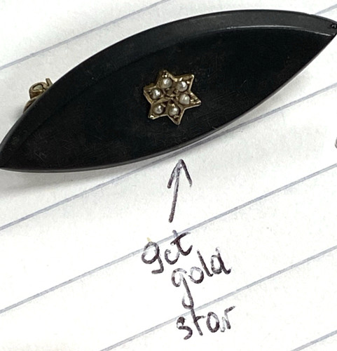 Victorian old brooch seed