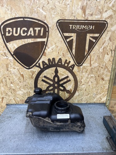 Suzuki king quad - 2012, fuel