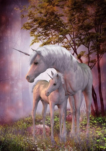 Magical unicorn foal - magical,