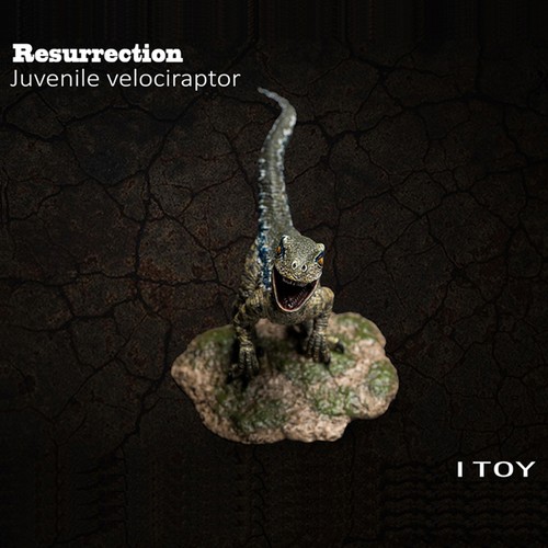Itoy juvenile velociraptor - itoy,