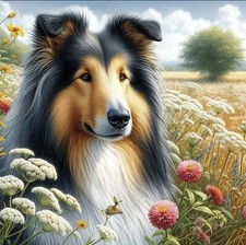 Rough Collie  Greyhound 