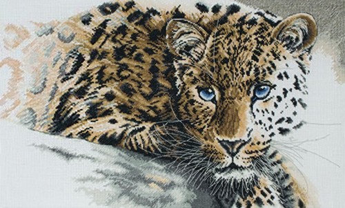 Rare beauty leopard cross - beauty,