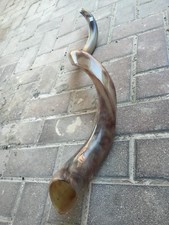 Kudu Yemenite Shofar Horn