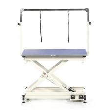 Pedigroom professional electric dog pet grooming table with H frame bar blue