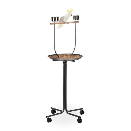 Bird activity centre parrot - activity,