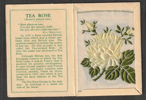 Wix kensitas tobacco silk - tobacco,