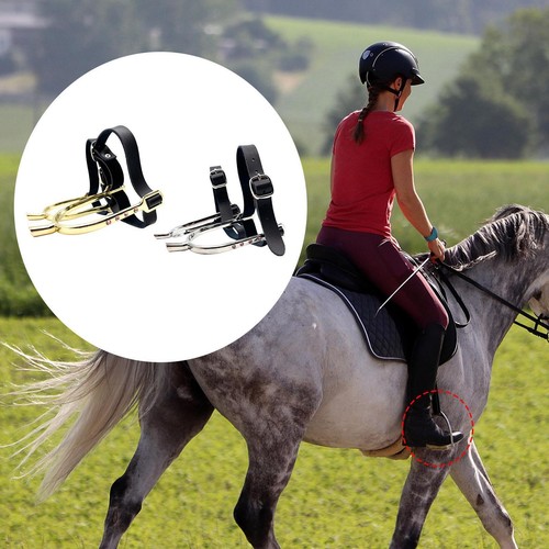 Horse with pu - ,