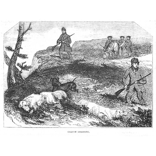 Grouse shooting antique - shooting,