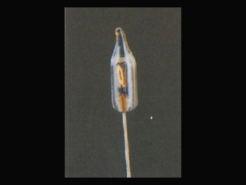 Dolls house pin - bi-pin, 2.5mm