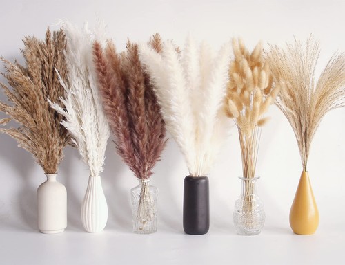 110 pcs dried pampas grass - 110,