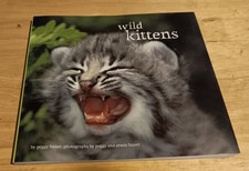Wild Kittens