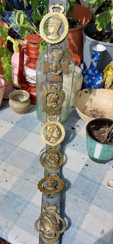 Antique vintage horse brasses - horse,