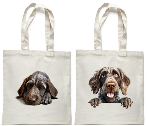 German wirehaired pointer - german,
