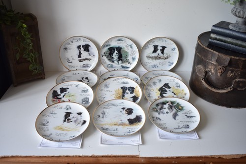 Danbury mint collector - collector, plates