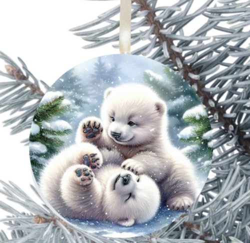 Polar bear gift - bear,