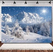 Snow Scene Backdrop Winter