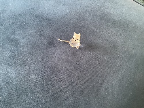 Swarovski crystal cat - crystal,