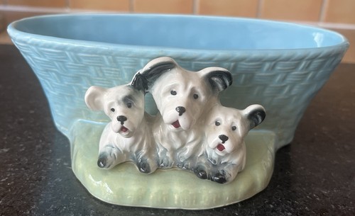 Sweet dog bowl - dog,