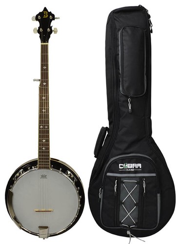 String banjo with - banjo,