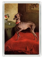 ITALIAN GREYHOUND BEAUTIFUL VINTAGE DOG FRIDGE MAGNET GREAT GIFT