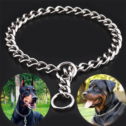 Dog chain collar heavy - collar,