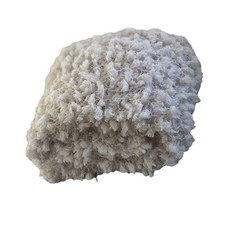 Newborn Photography Props