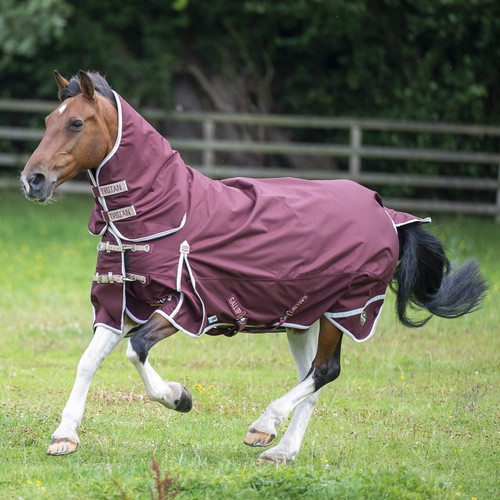Gallop trojan xtra duraproof - gallop,