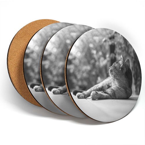 Coasters bw adorable - -,