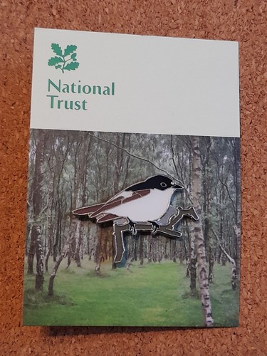 National trust longshaw pied - national,