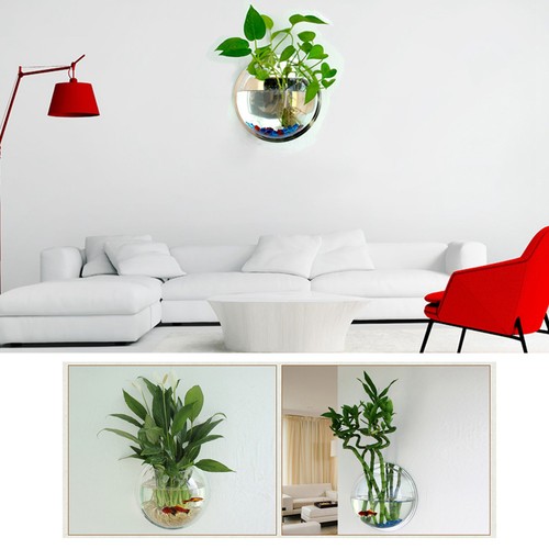 Wall mounted acrylic fish - wall-mounted,
