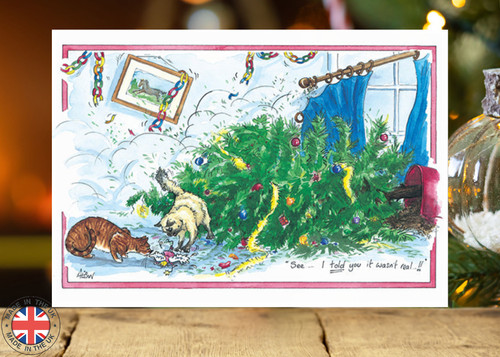 Cat christmas card - cat,