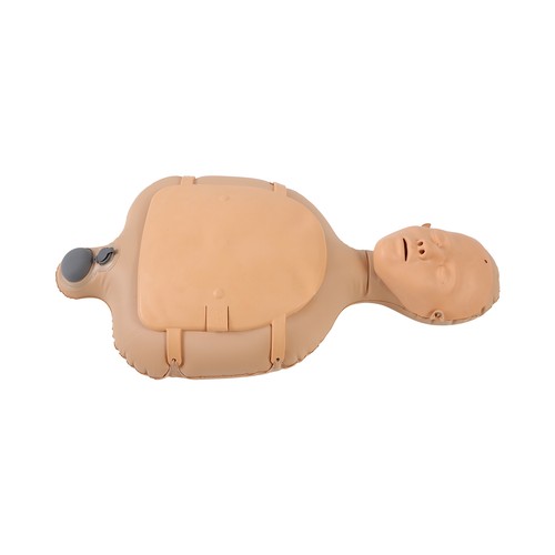 Adult and infant manikin - and,