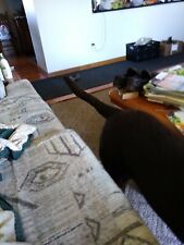 Point 'n Paint As Seen on TV