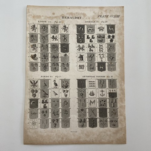 Antique heraldry engraving - heraldry,