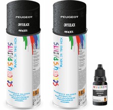 For Peugeot Spray Paint